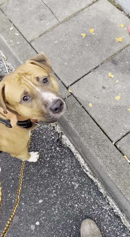 "MACH ES !"  statt  "LASS ES !"-Beitrag-Bild