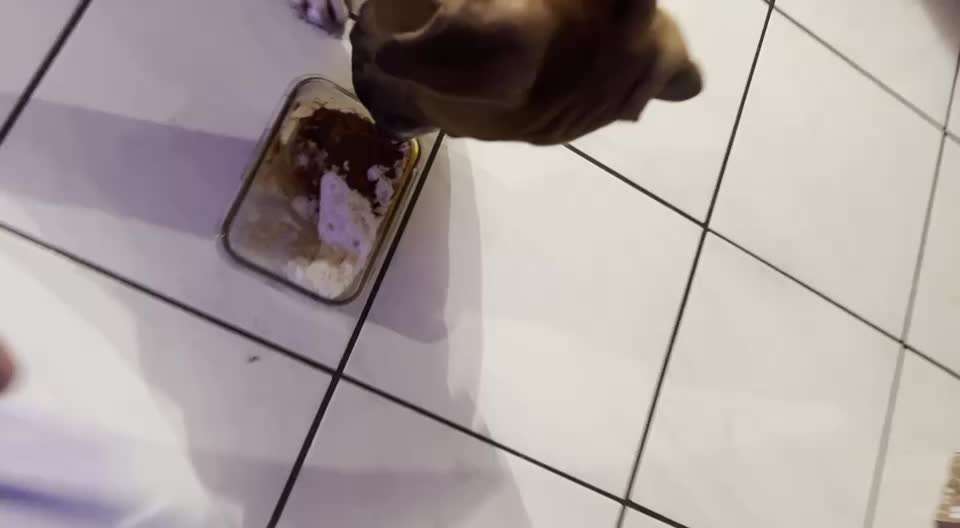 Trick Challenge ABC-Beitrag-Bild