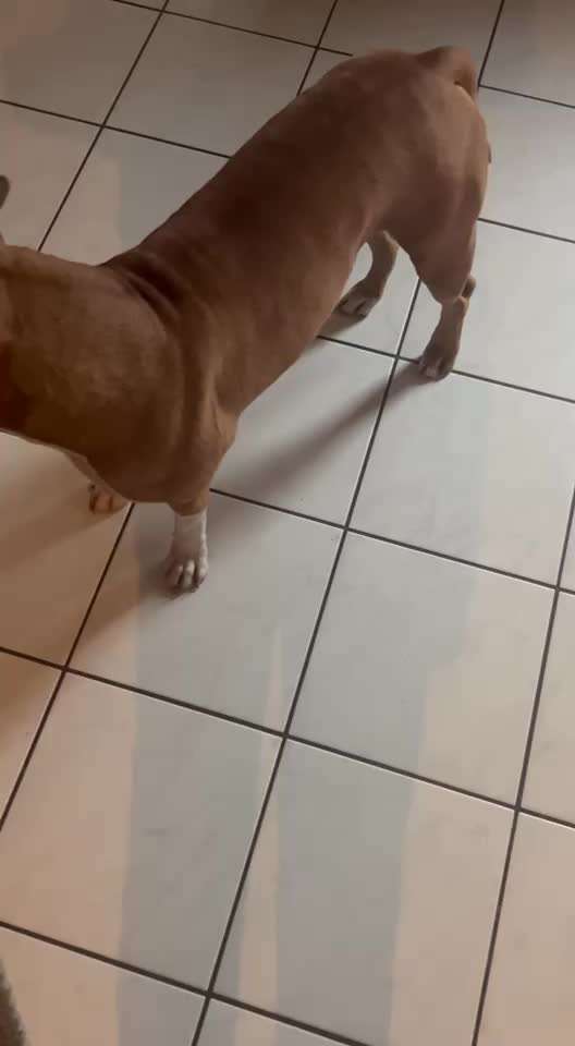 59. Impulskontrollchallenge " Qual der Wahl"-Beitrag-Bild