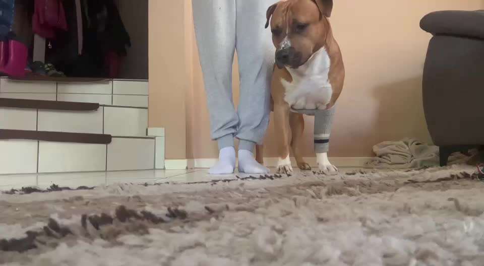 Trick Challenge Nr. 29 ,,TWIST"-Beitrag-Bild