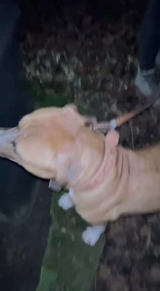 Impulskontrolle Challenge Nr.: 7
         "Gesellschaftsfähig"-Beitrag-Bild