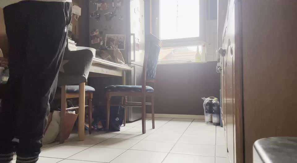 Impulskontrolle-Challenge Nr. 2: Vorbei laufen-Beitrag-Bild