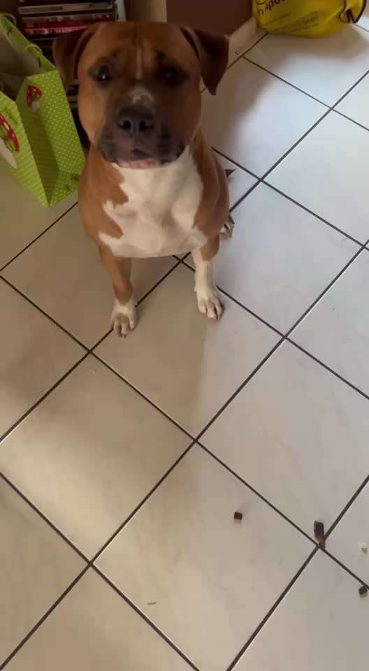 Impulskontroll-Challenge Nr.: 13  "Flugmodus"-Beitrag-Bild