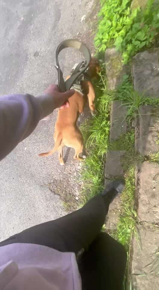 54. Impulskontrollchallenge  PAUSE MACHEN !-Beitrag-Bild