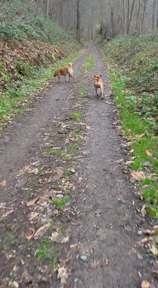 Ursache fürs Anspringen finden und beheben-Beitrag-Bild