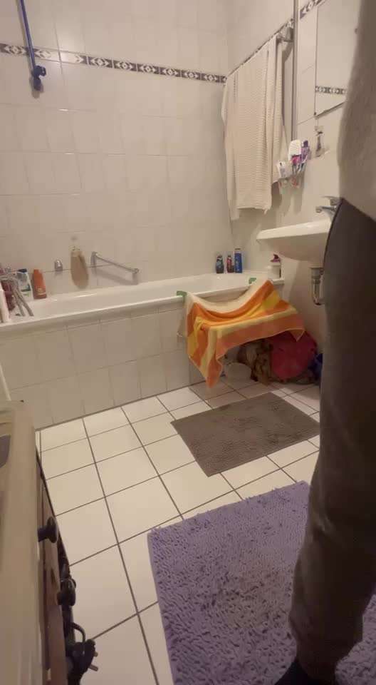 30. Impulskontrollübung: Ich trag dich auf Händen-Beitrag-Bild