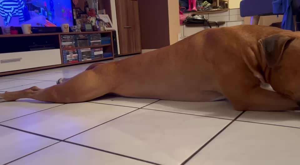 Impulskontrolle Challenge Nr. 19:
Vorbereitungen treffen..-Beitrag-Bild