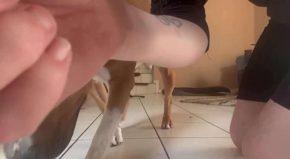 36. Impulskontrollübung-Beitrag-Bild