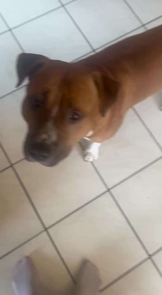 Trick Spiel - Koffer packen -der 22.-Beitrag-Bild