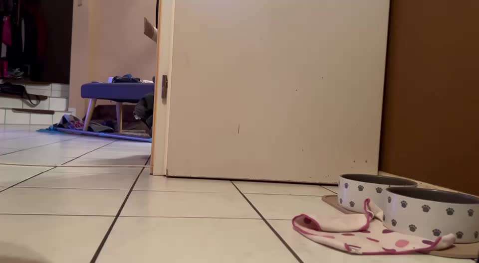 Impulskontrolle Challenge Nr. 19:
Vorbereitungen treffen..-Beitrag-Bild