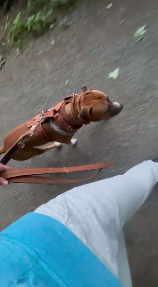 Impulskontrolle Challenge Nr. 10 "Zurücklassen"-Beitrag-Bild