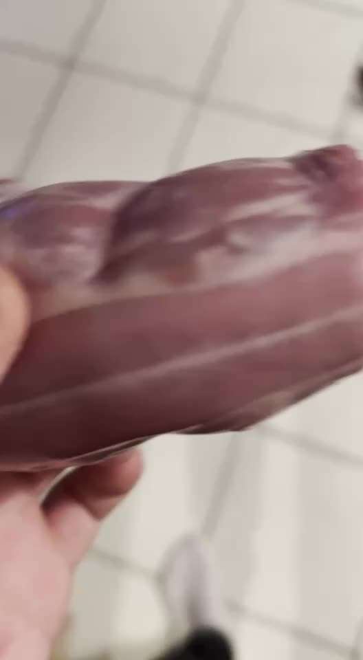 Impulskontrolle Challenge NR .4.           STOP/STEH/ WARTE-Beitrag-Bild