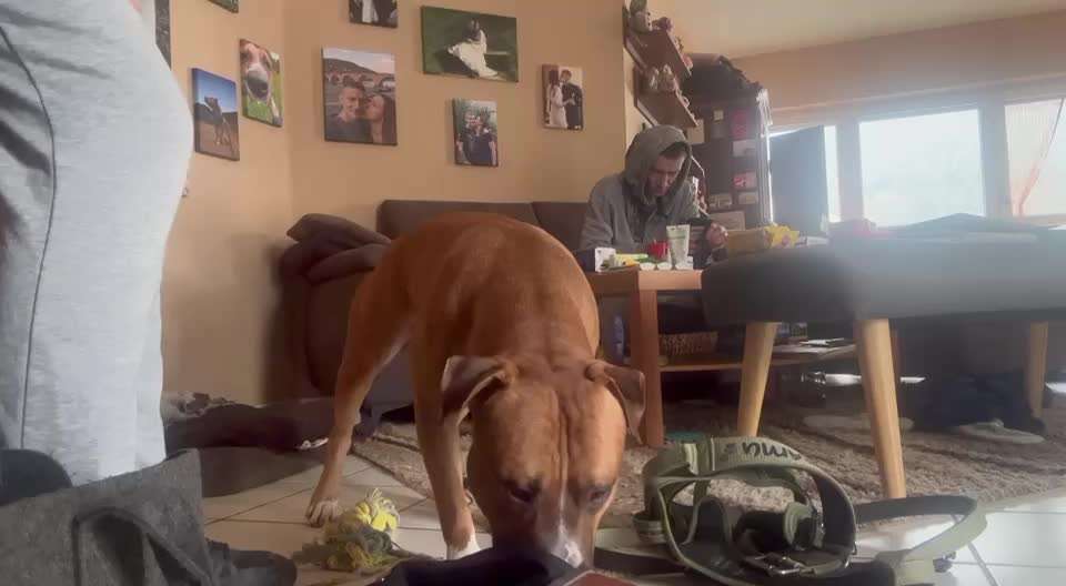 49. Impulskontrolle Challenge: Anziehen-Beitrag-Bild