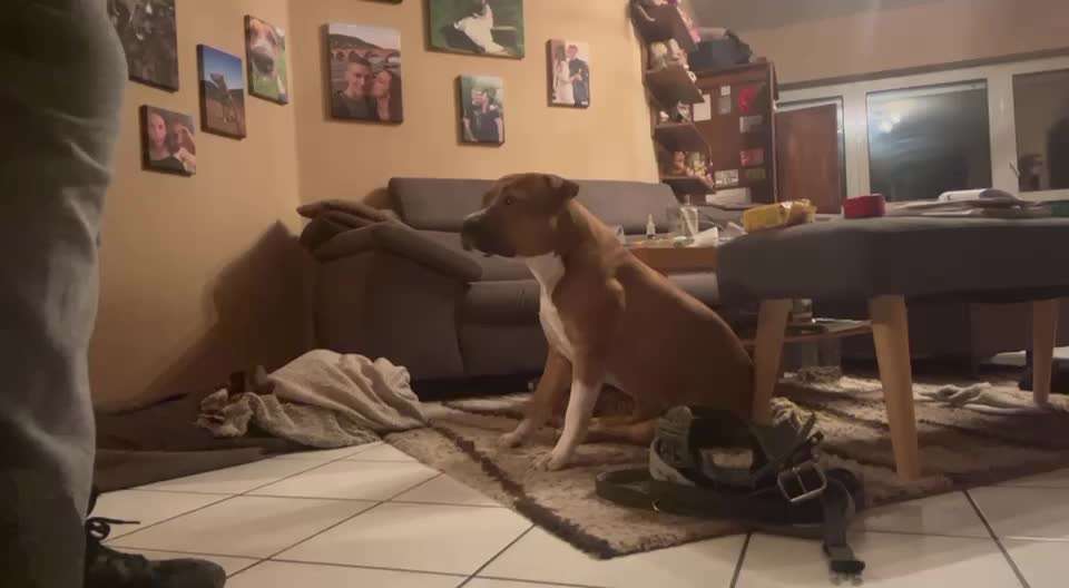 49. Impulskontrolle Challenge: Anziehen-Beitrag-Bild