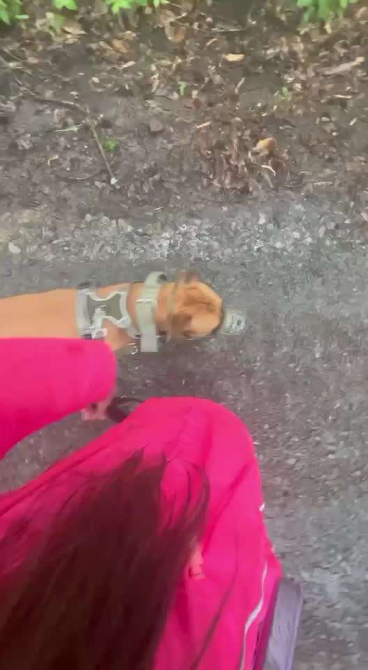 Ursache fürs Anspringen finden und beheben-Beitrag-Bild