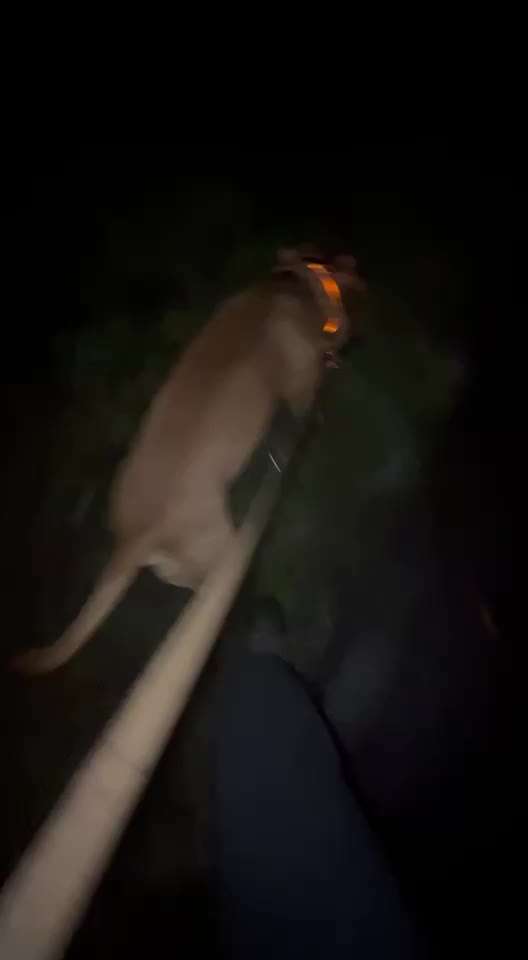 Trick Challenge ABC-Beitrag-Bild