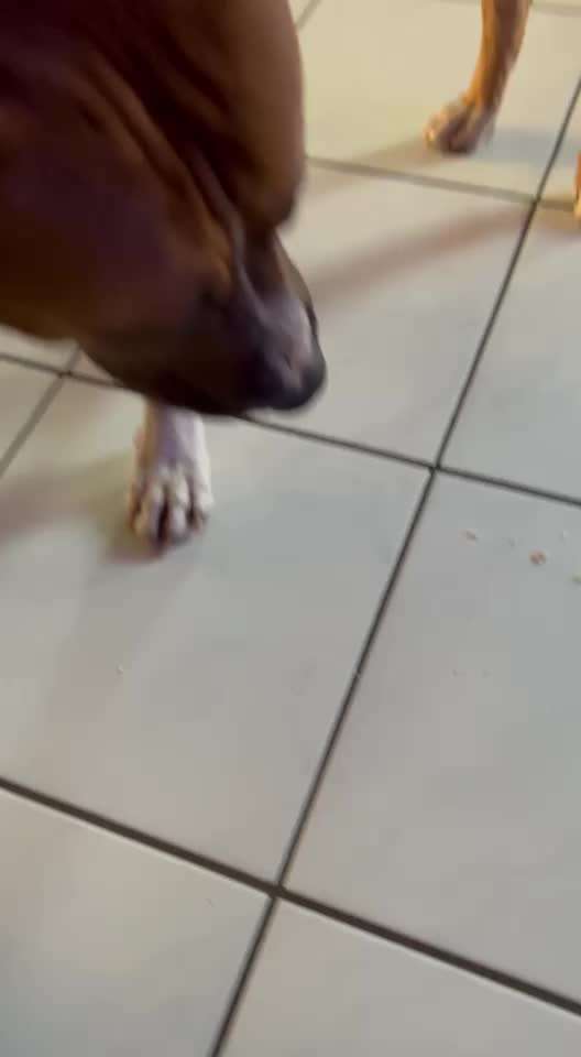 Trick Challenge ABC-Beitrag-Bild