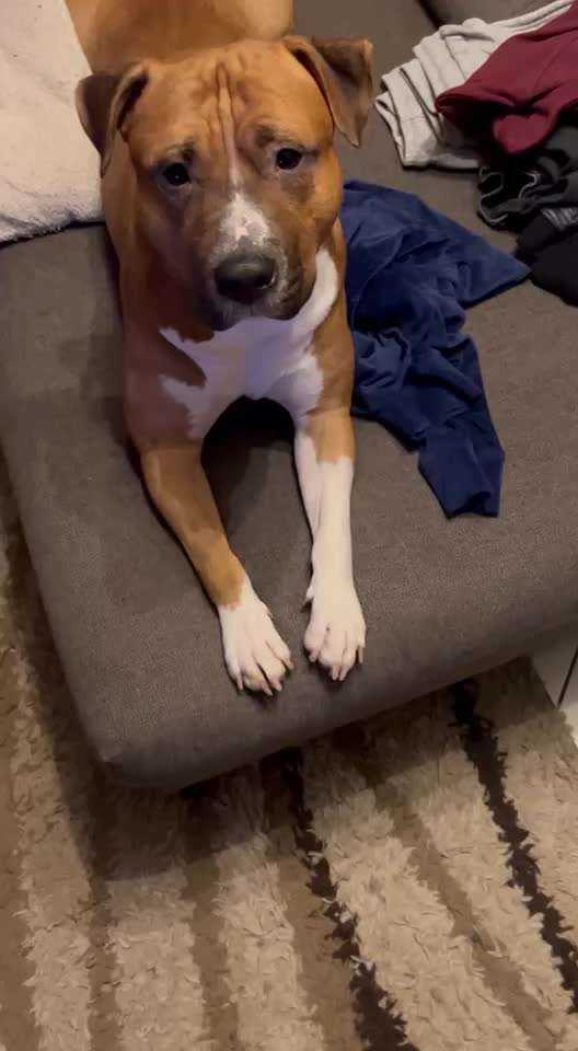 44. Impulskontrolle Callenge: ,,Essen ins Gesicht legen"-Beitrag-Bild