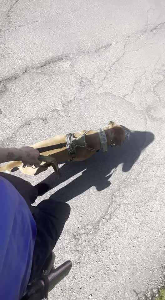 54. Impulskontrollchallenge  PAUSE MACHEN !-Beitrag-Bild