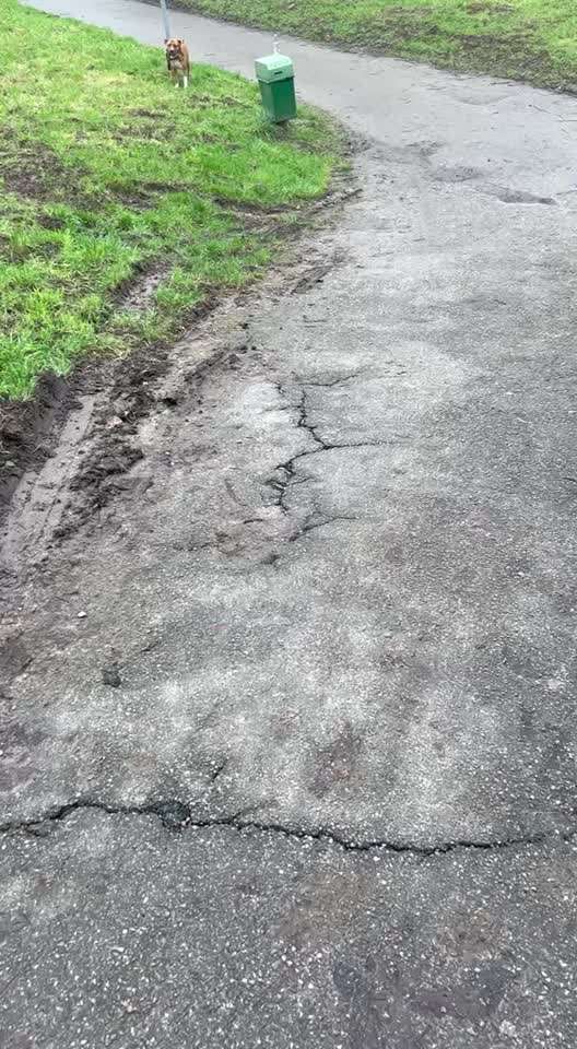 Impulskontrolle Challenge Nr. 11 "Bleib mit Ablenkung"-Beitrag-Bild