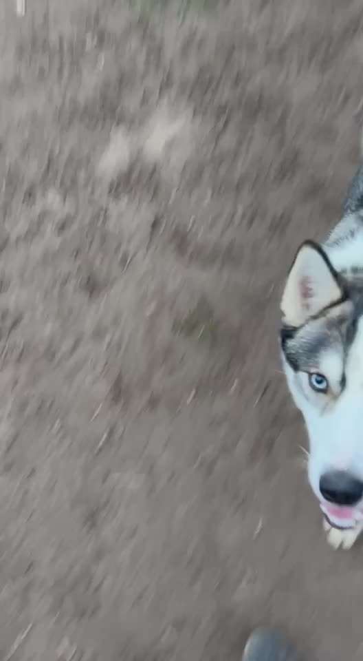 Ursache fürs Anspringen finden und beheben-Beitrag-Bild