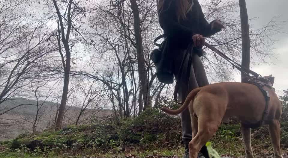 30. Impulskontrollübung: Ich trag dich auf Händen-Beitrag-Bild