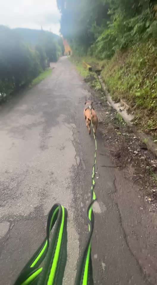 Ursache fürs Anspringen finden und beheben-Beitrag-Bild