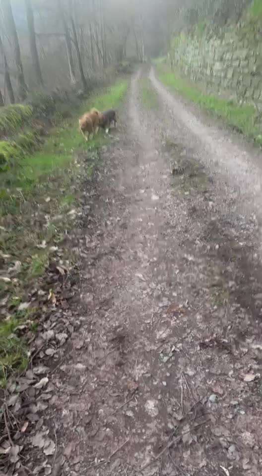 Ursache fürs Anspringen finden und beheben-Beitrag-Bild