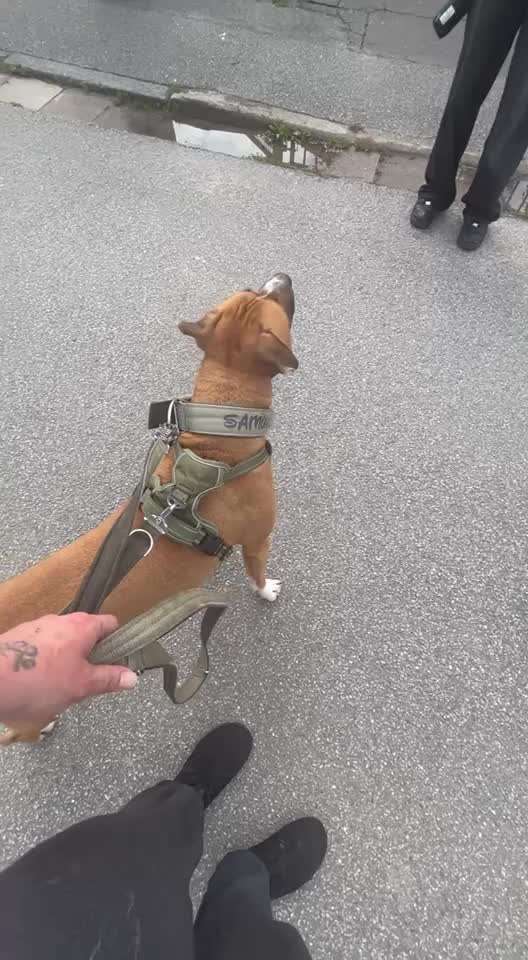 Ursache fürs Anspringen finden und beheben-Beitrag-Bild