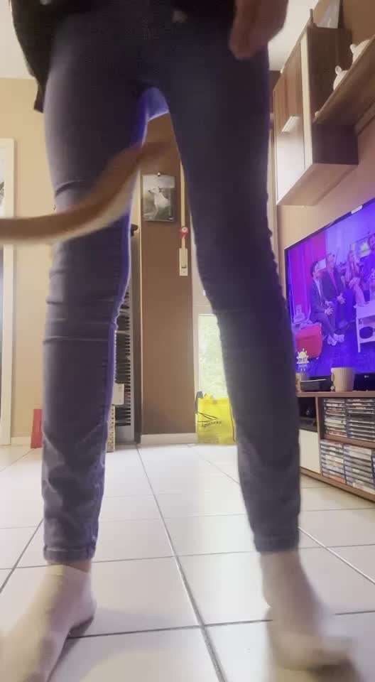 37. Trick-Challenge: Pinguin-Lauf-Beitrag-Bild