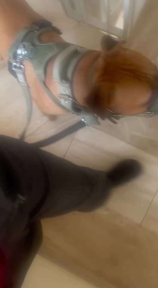 56. Impulskontrollchallenge : Ich warte auf dich !-Beitrag-Bild