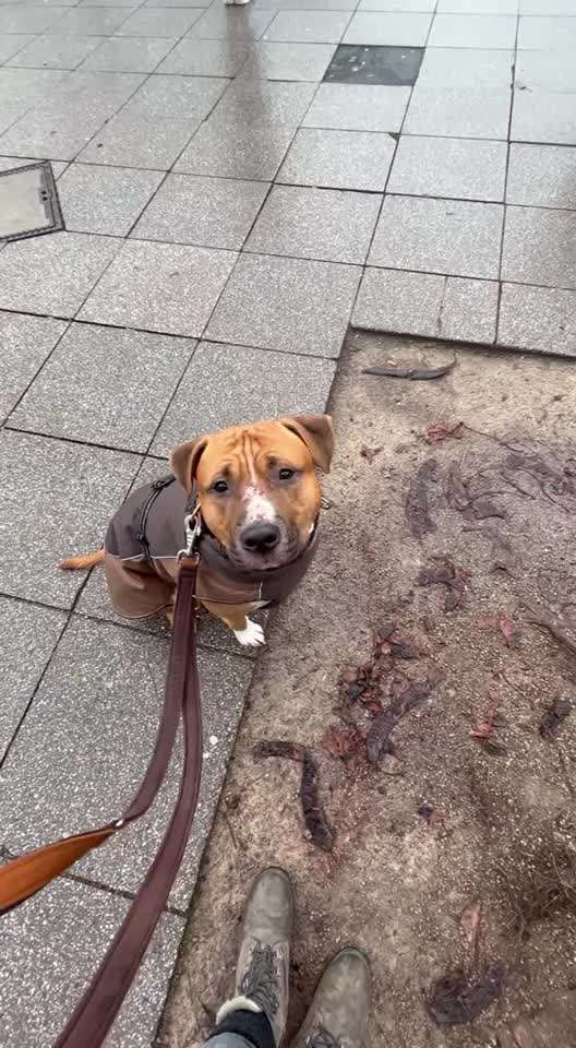 Impulskontrolle Challenge Nr.: 7
         "Gesellschaftsfähig"-Beitrag-Bild