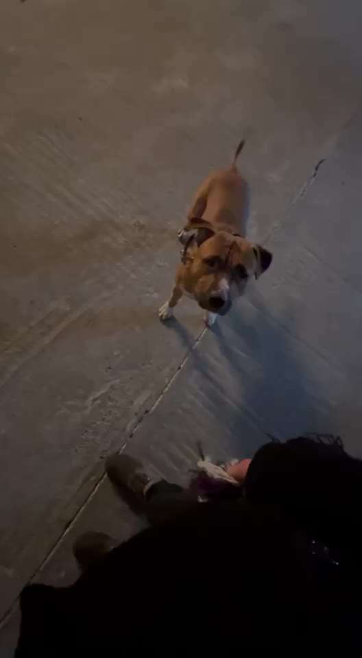 14. Impulskontrollen Challenge- Auf die Plätze fertig WARTEN-Beitrag-Bild