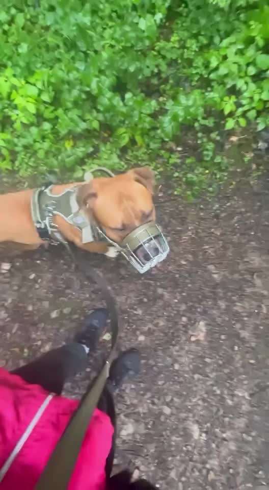 Ursache fürs Anspringen finden und beheben-Beitrag-Bild