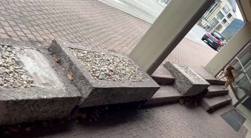 Gemeinsame Impulkontrolle Übung Nr.24-Beitrag-Bild