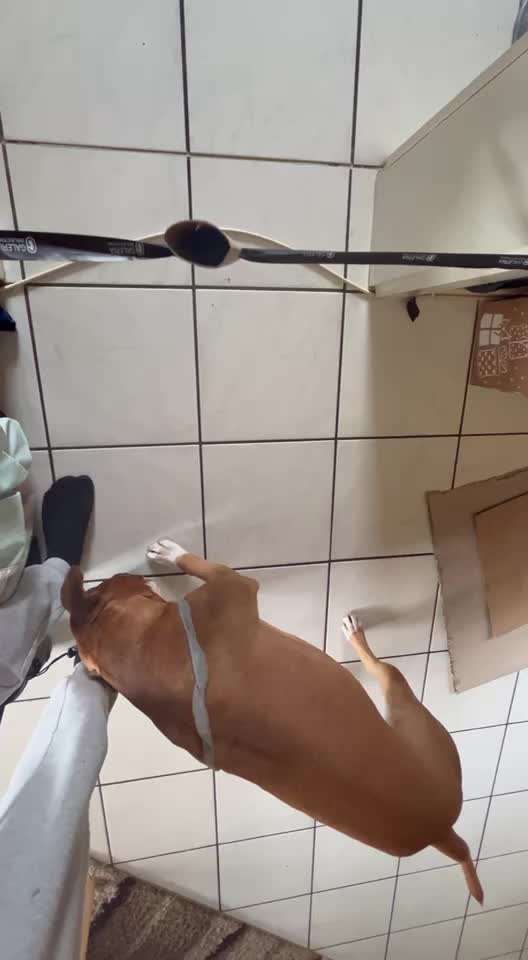 Analyse & Interpretation von Verhalten-Beitrag-Bild