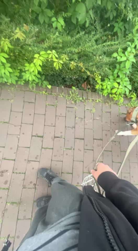 Ursache fürs Anspringen finden und beheben-Beitrag-Bild