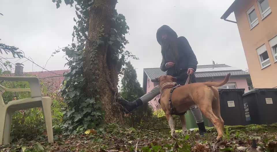 62. gemeinsames Trick Training / Challenge: bouncen-Beitrag-Bild