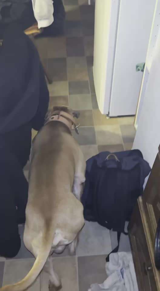 Trick Challenge ABC-Beitrag-Bild