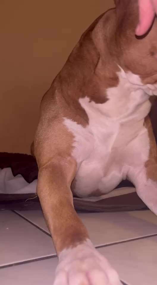 44. Impulskontrolle Callenge: ,,Essen ins Gesicht legen"-Beitrag-Bild