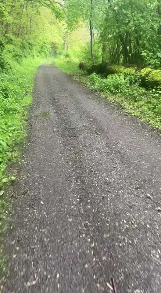 33 .Impulskontroll Übung " Abruf vom Reiz "-Beitrag-Bild