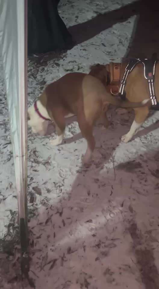 Ursache fürs Anspringen finden und beheben-Beitrag-Bild