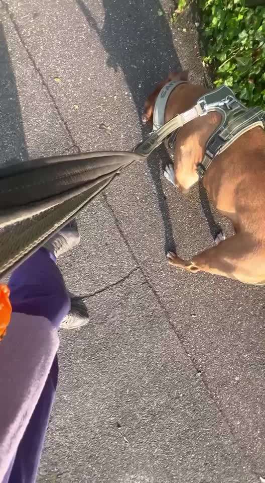 Ursache fürs Anspringen finden und beheben-Beitrag-Bild