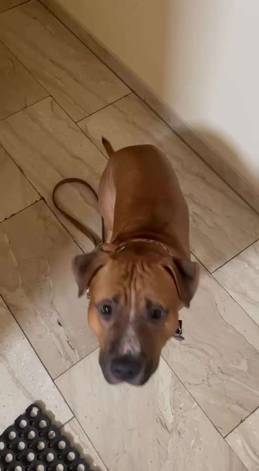 Gemeinsame Impulkontrolle Übung Nr.24-Beitrag-Bild