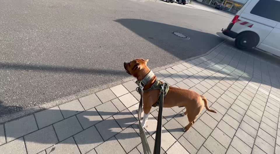 54. Impulskontrollchallenge  PAUSE MACHEN !-Beitrag-Bild