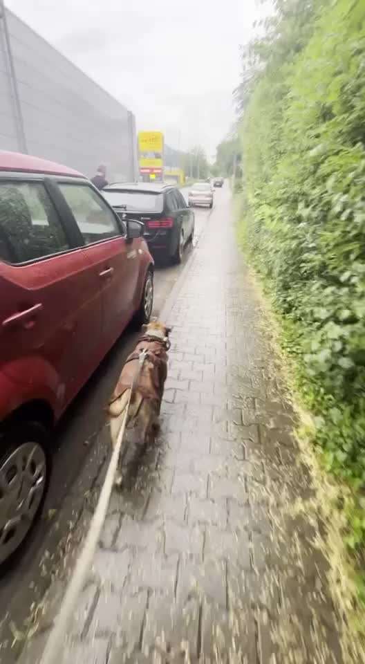 Ursache fürs Anspringen finden und beheben-Beitrag-Bild