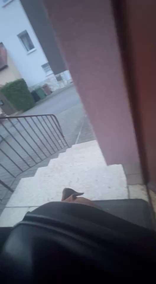 34. Impulskontrollübung "Ruhe an fremden Orten"-Beitrag-Bild