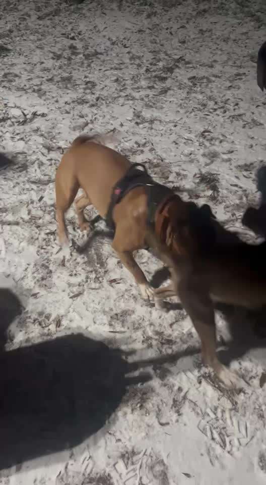 Ursache fürs Anspringen finden und beheben-Beitrag-Bild