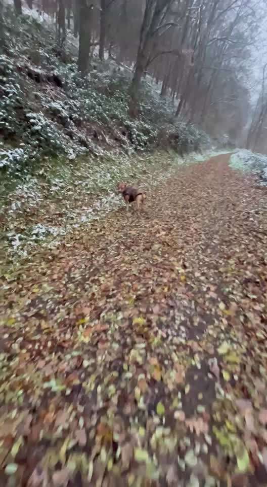 HANDY VIDEO CHALLENGE NR. 30: RÜCKRUF-Beitrag-Bild