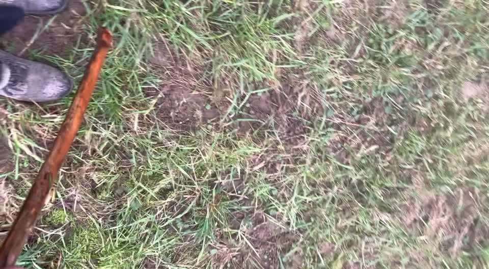 Trick Challenge ABC-Beitrag-Bild